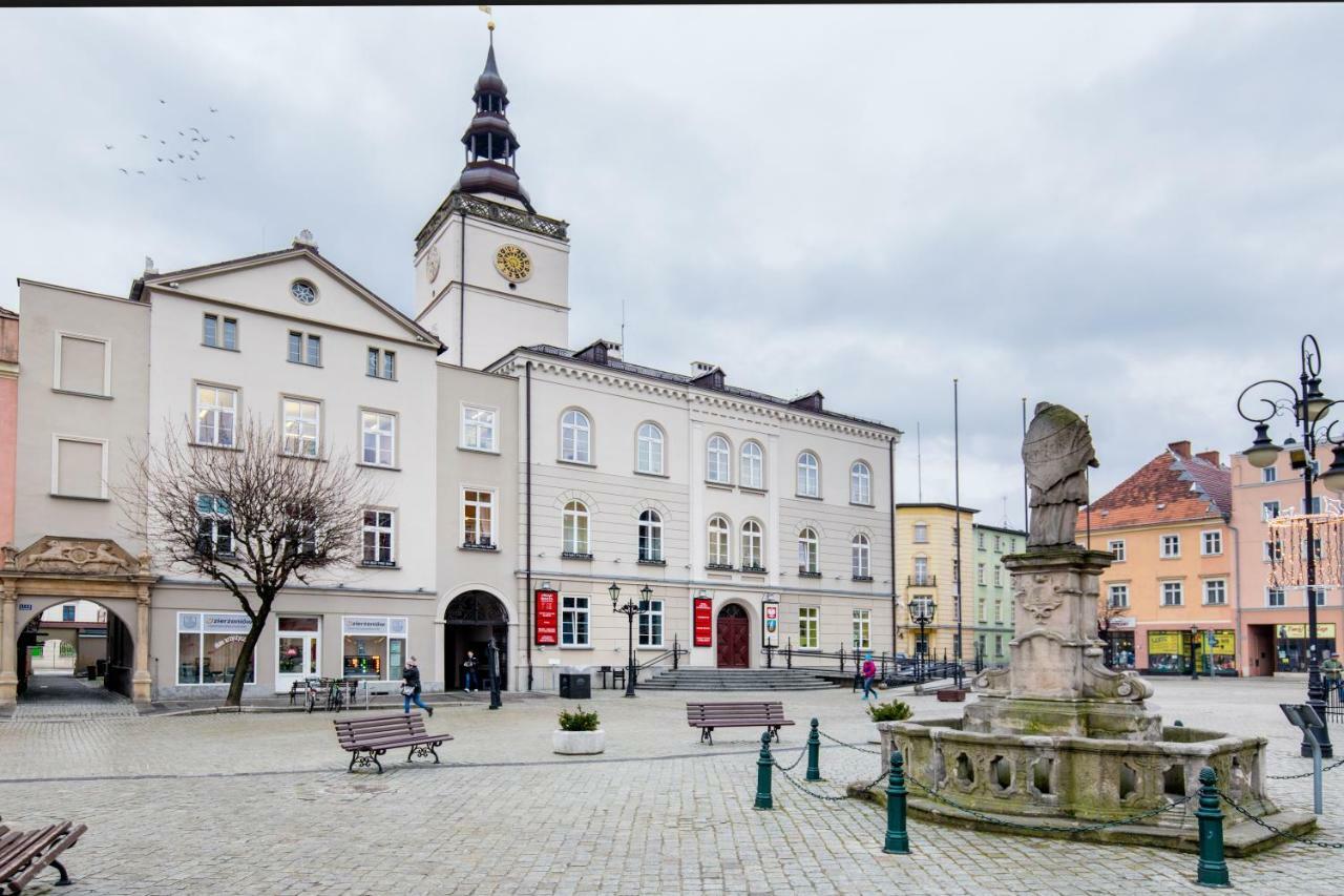 Apartament Gemini Dzierżoniów Kültér fotó
